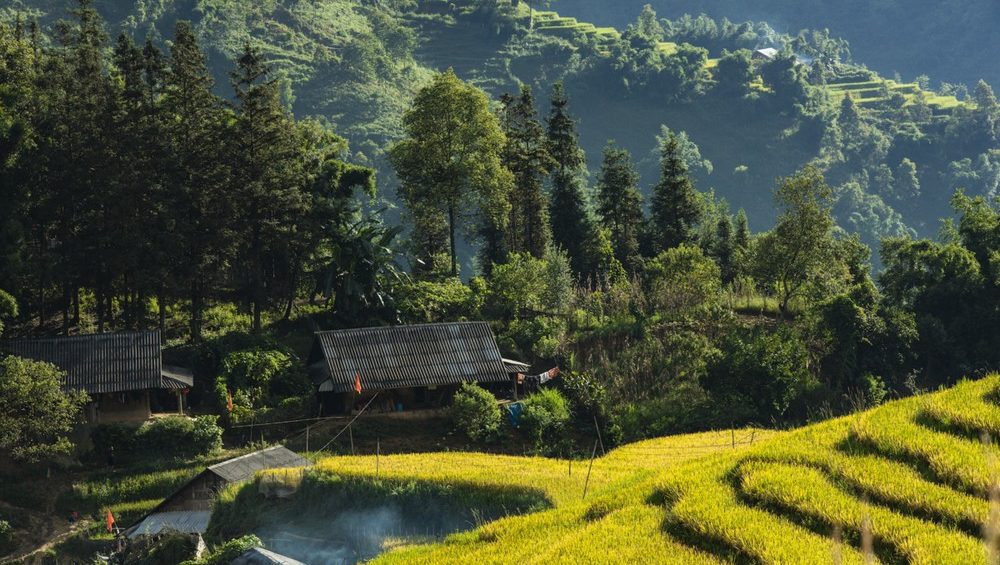 Ban Ho valley, rice terraces