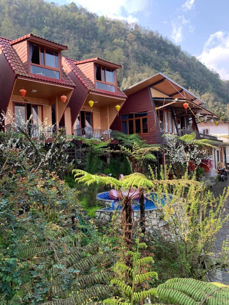 Bees Homestay and trekking, an island of sanity in the mountains