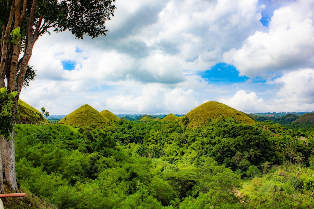 View of the Chocolate Hills in, Bohol, Philippines