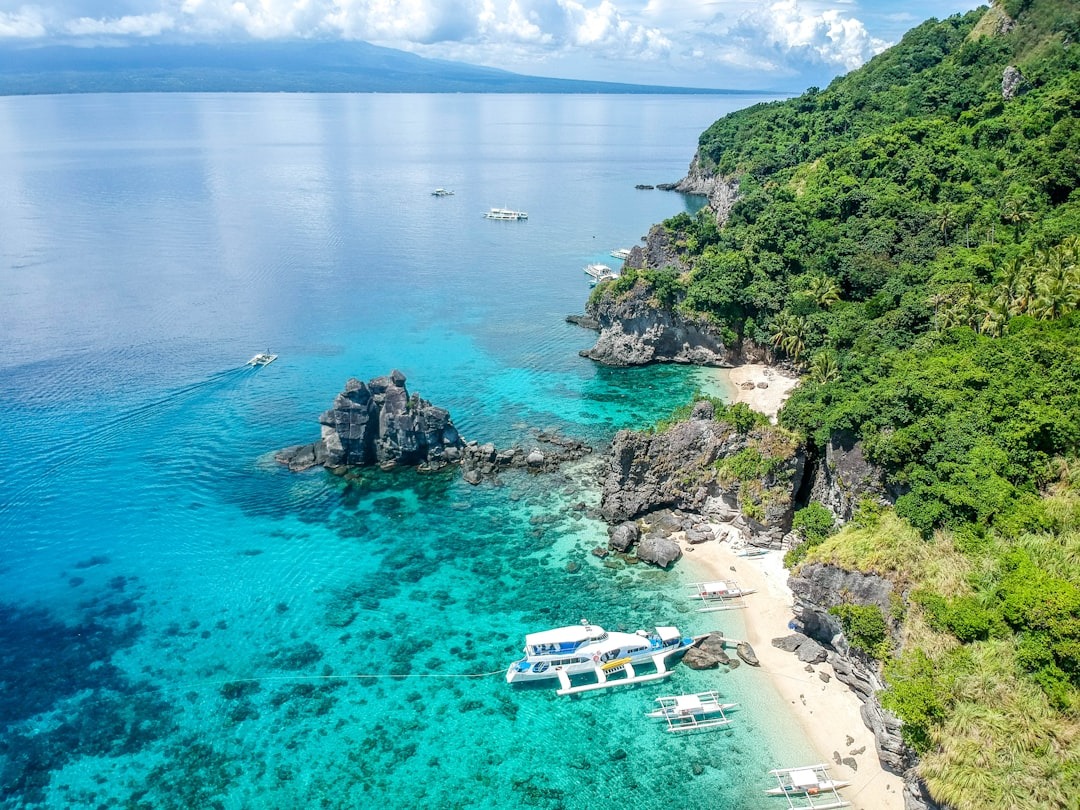 The crystal clear waters at Apo Island in Dauin 