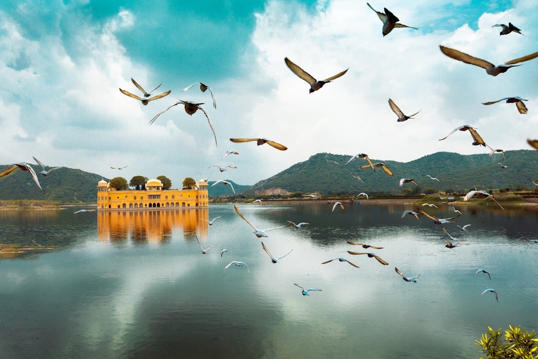 Where to Stay in Jaipur (+ Where Not to Stay): Neighborhoods and Hotels for 2026 25 The Jal Mahal (Water Palace) in the middle of the Man Sagar Lake in Jaipur city, built as a hunting lodge for the royal family